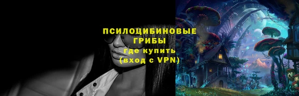 apvp Богородск